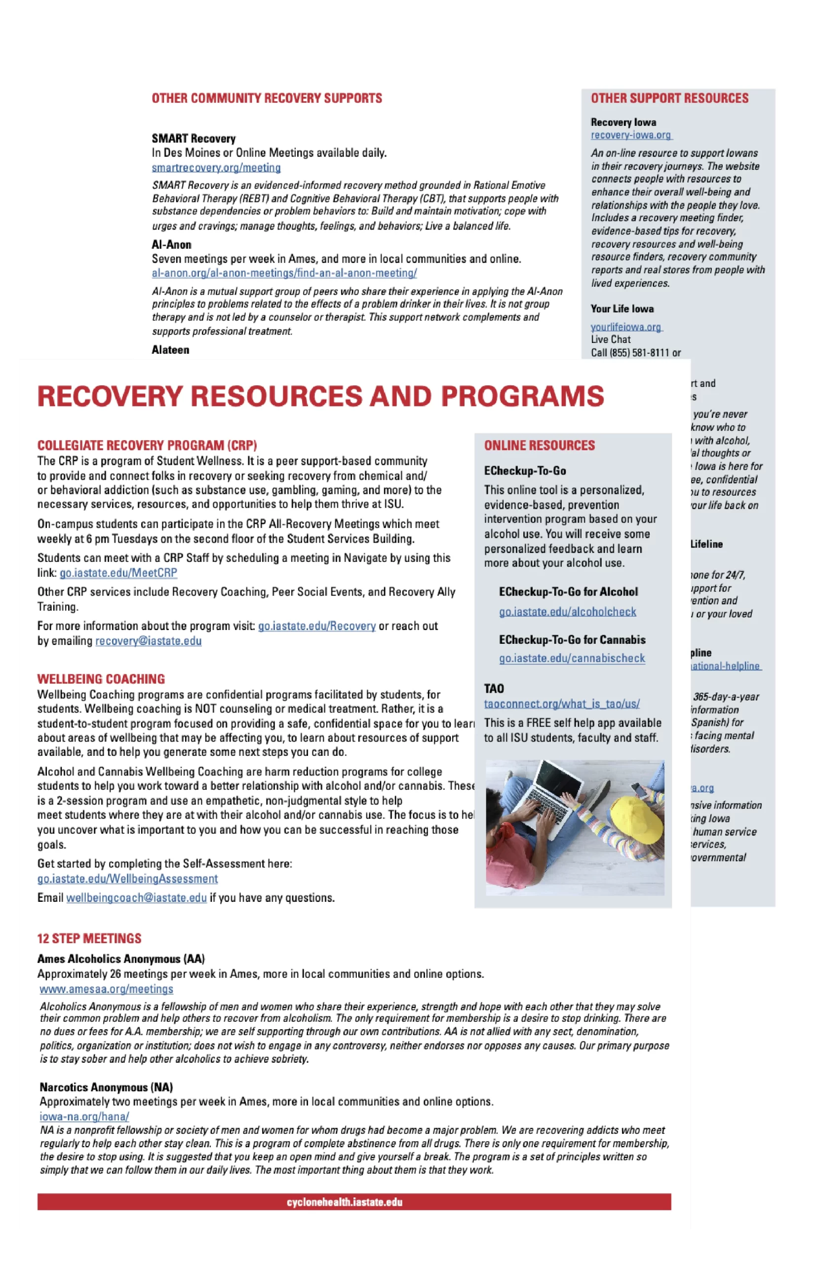 Image of Recovery Resources handout