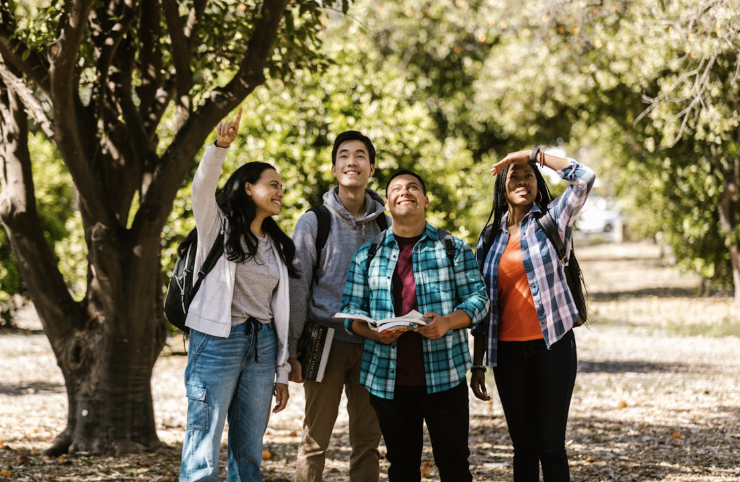 A group of four students looking at the sky while walking on campus.