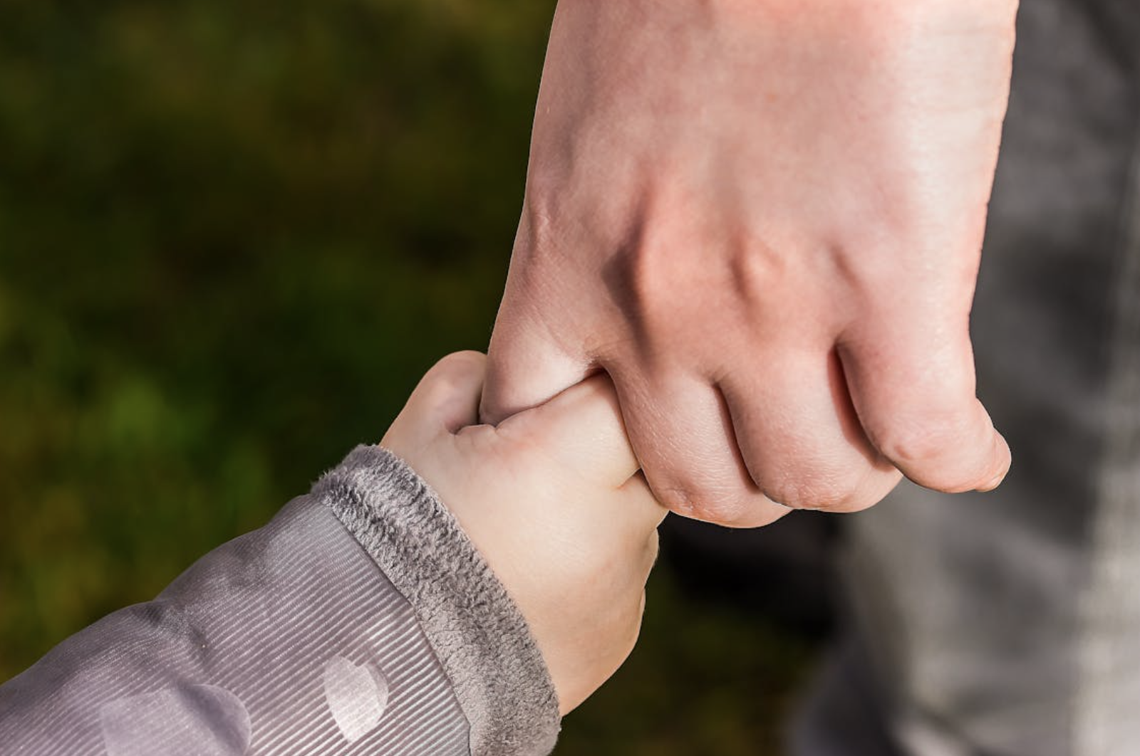 A child and a parent holding hands.