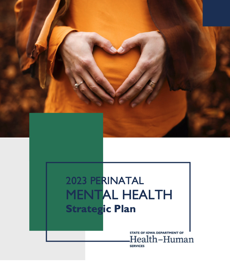 Perinatal Mental Health Strategic Plan cover